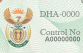 Exceptional skills work permits – temporary & permanent residence