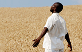 From asylum seeker, refugee to resident of South Africa