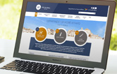 What is VFS – the Visa Facilitation Service – advices and national security